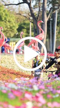 BIB:  <button type="button" onclick="openModal(27583457)" class="btn btn-primary btn-sm float-right" data-toggle="modal" data-target=".modal-high-quality">
                <i class="fa fa-download"></i> Download
                </button>